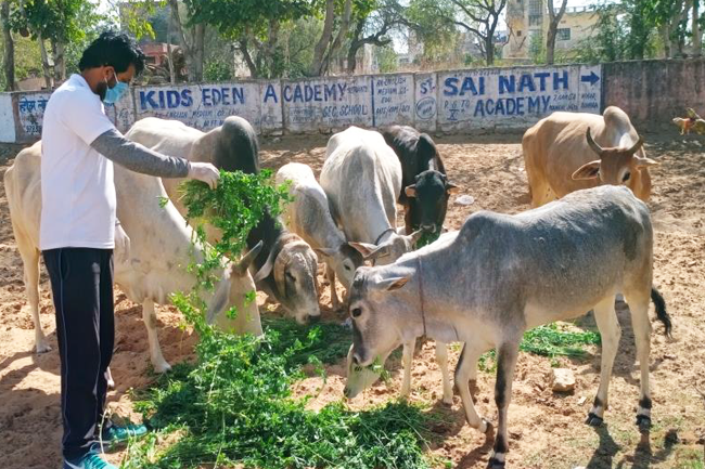 Gau Sewa