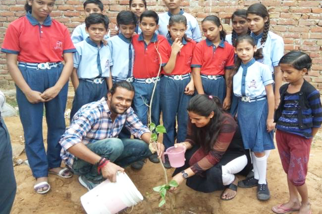 Tree Plantation